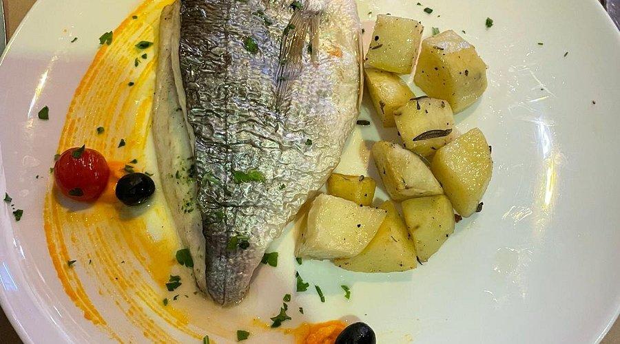 Trattoria